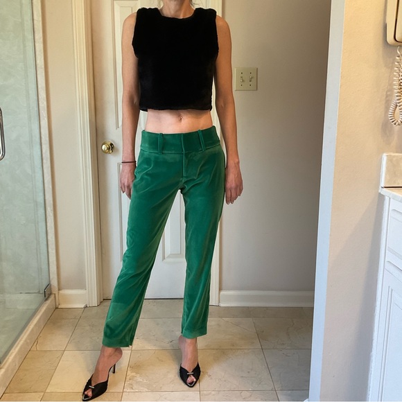 Alice + Olivia Velvet pants, button & zip front, side & back pockets, loops Sz 2 - Picture 5 of 13